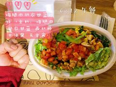 -油梨树AVOCADO TREE(嘉里中心店)