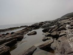 -盐洲岛