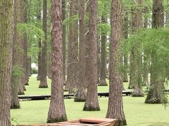 -渌洋湖湿地公园