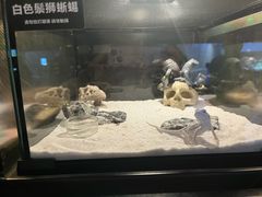 -太平洋海底世界