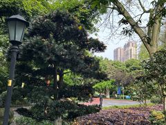 -龙头寺公园