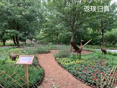 -香山公园