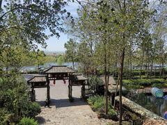 -合肥滨湖国家森林公园