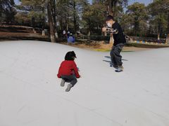 -松山湖梦幻百花洲