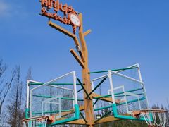 -前小桔亲子创意农场·草莓采摘·露营烧烤