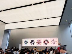 -Apple零售店(成都太古里店)