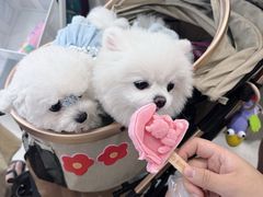 -开元商城(西旺店)