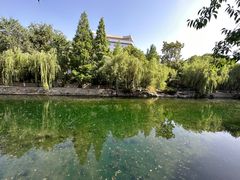 -环城公园