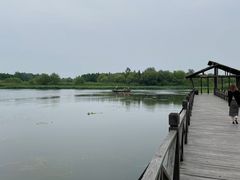 -溱湖国家湿地公园