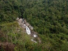 -海南热带雨林国家公园吊罗山景区