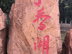 -丁香湖公园