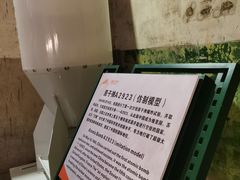 -816工程景区