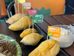 -榴莲BB 四季果园