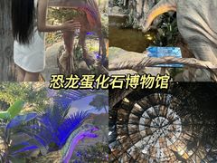 -中国西峡恐龙遗迹园