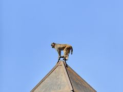 -昆明动物园