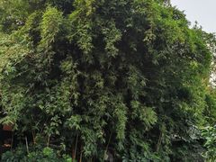 -茅庐·川粤精品私房菜(金沙遗址店)