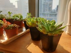 -千浔一暖DIY蛋糕烘焙(人民大学店)