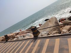 -广东惠东海龟国家级自然保护区