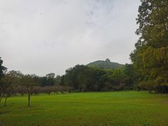 -采石矶景区