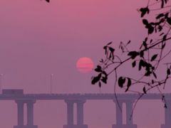 -宝安西湾红树林湿地公园