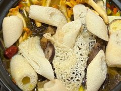-蘑统田下·野生菌火锅