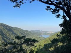 -田心森林公园