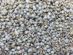 -世纪联华超市(外海店)