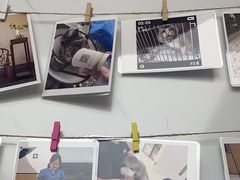 -瑞派康怡24h宠物医院·犬猫医疗中心·微创绝育(瑞景分院)