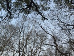 -杭州香格里拉·香宫中餐厅