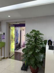 -广州美莱医疗美容医院