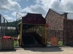 -横道河子东北虎林园