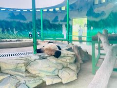 -天津市动物园