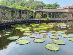 -广州莲花山旅游区
