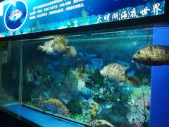 -大明湖海底世界
