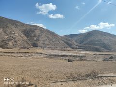 -小六汤包·老字号·中华名小吃(公园南路店)