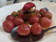 -大队长大灶鹅