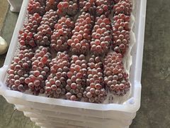 -西郊国际农产品交易中心