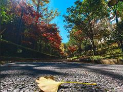 -全国青少年井冈山革命传统教育基地