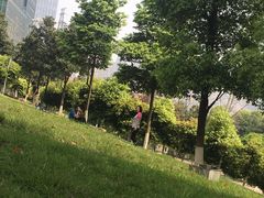 -重庆市江北嘴中央商务区中央公园