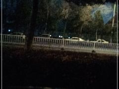 -西树泡芙(秦皇岛茂业天地店)