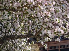 -利顺德大饭店·维多利亚花园(小白楼店)