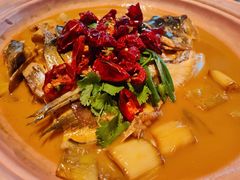 -柿合缘新京菜(国金中心商场店)