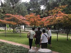 -陕西师范大学(雁塔校区)