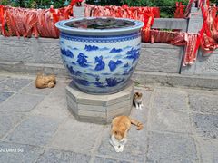 -终南山南五台景区