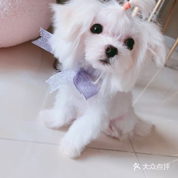 必须要大大赞一下美联众德美容师啊