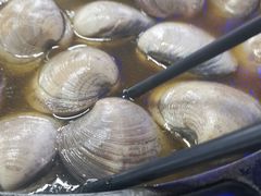 -顺德哥卜卜贝(旗舰店)