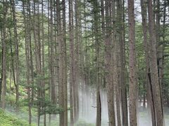 -洛阳白云山景区