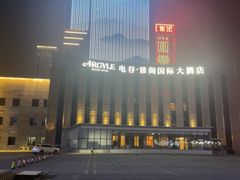 -电谷雅阁国际大酒店