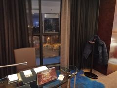 -常州环球恐龙城维景国际大酒店