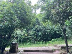 -永泰中国云顶
